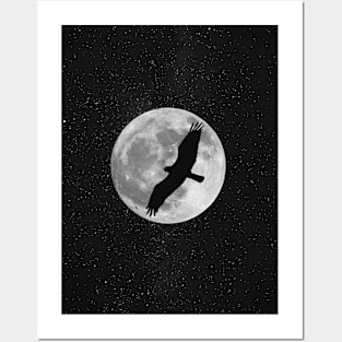 Full moon and falcon Posters and Art